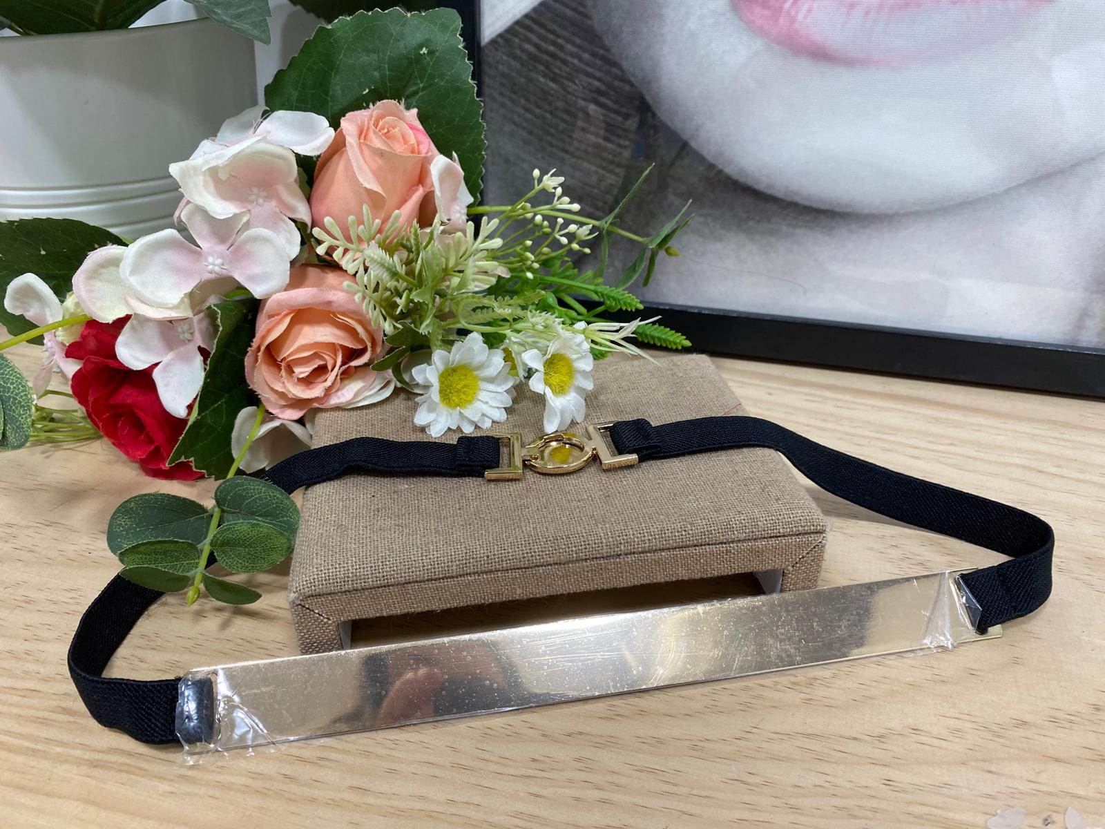 Cinturón Mariana: imagen 1